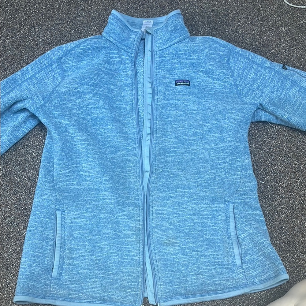 Patagonia women’s Light Blue Fleece Jacket